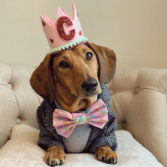 Valentines outfit Birthday Party Crown | Valentine’s Day | 1st valentines | my first Valentine’s Day | dog gift